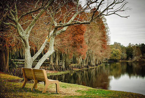 Wall Art - Photograph - Bench With A View by Carolyn Marshall
