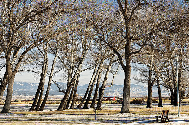 Bench with a View by Sue Smith Bench with a View by Sue Smith