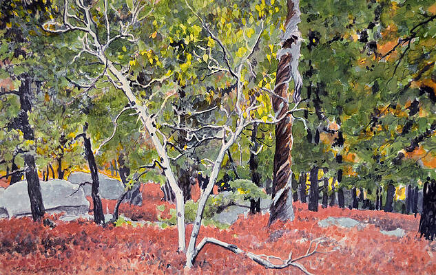 Berry Flats in Fall by Thomas Stratton Berry Flats in Fall by Thomas Stratton