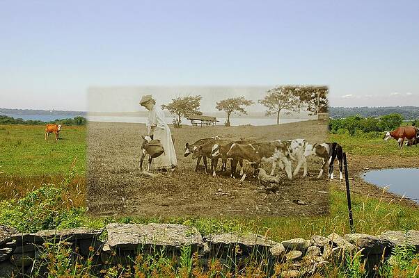 Bessie Gray of Little Compton RI by Jeff Hayden