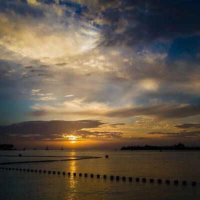 Best Part Of The Day by Maria Robinson Best Part Of The Day by Maria Robinson
