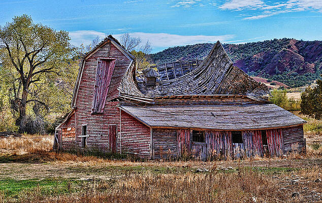 Better Days by David Armstrong Better Days by David Armstrong
