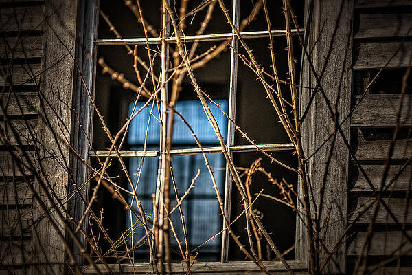 Wall Art - Photograph - Beyond the Other Side by Brett Engle
