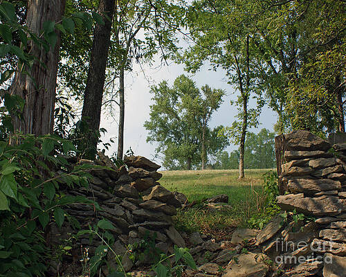 Beyond the Rock Fence by Roger Potts Beyond the Rock Fence by Roger Potts