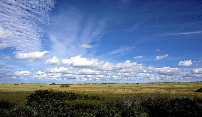 Wall Art - Photograph - Beyond the Sky by Kathi Isserman