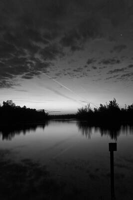 Biesbosch early morning by Joas Wilzing