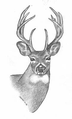 Big Buck by Susan Snodgrass