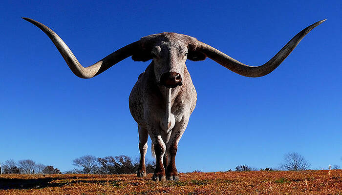 Big Moe by Stuart Harrison Big Moe by Stuart Harrison
