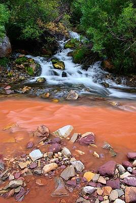 Wall Art - Photograph - Big Spring by David Andersen