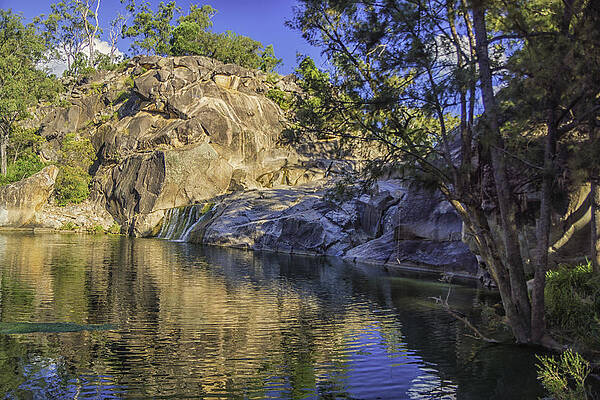 Billabong by Peter Lombard Billabong by Peter Lombard
