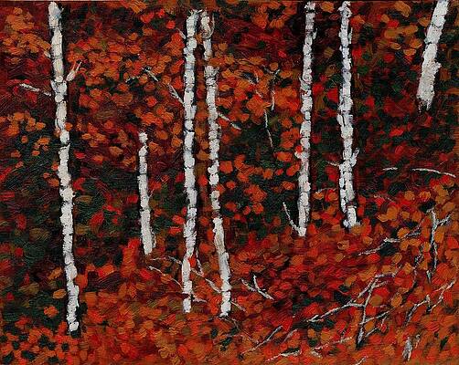 Birches by David Dossett Birches by David Dossett