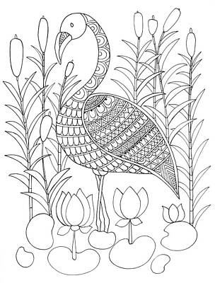 Wall Art - Drawing - Bird Flamingo by MGL Meiklejohn Graphics Licensing