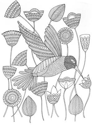 Wall Art - Drawing - Bird Hummingbird 2 by MGL Meiklejohn Graphics Licensing
