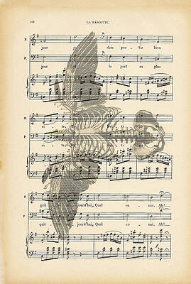 Nature Digital Art - Bird Music by Georgia Clare