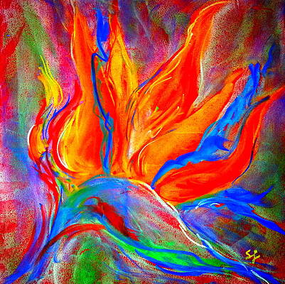 Bird of Paradise Flower by Sue Jacobi Bird of Paradise Flower by Sue Jacobi