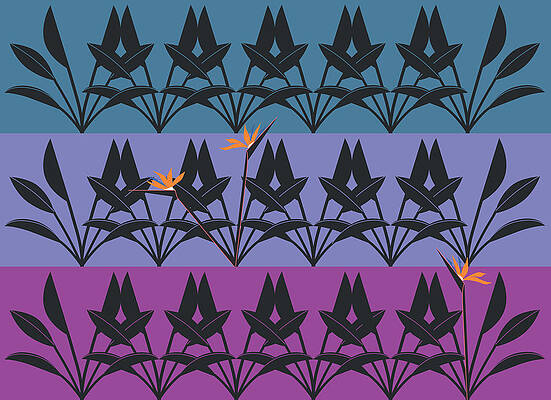 Bird of Paradise Pattern by Marie Sansone Bird of Paradise Pattern by Marie Sansone
