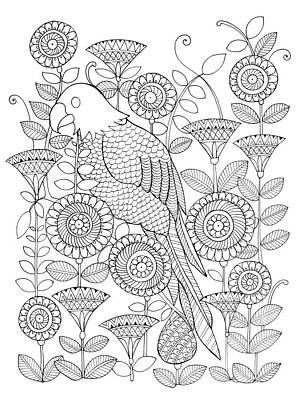 Wall Art - Drawing - Bird Parrot by MGL Meiklejohn Graphics Licensing