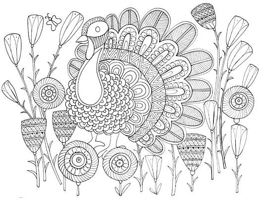 Wall Art - Drawing - Bird Turkey Bird 1 by MGL Meiklejohn Graphics Licensing