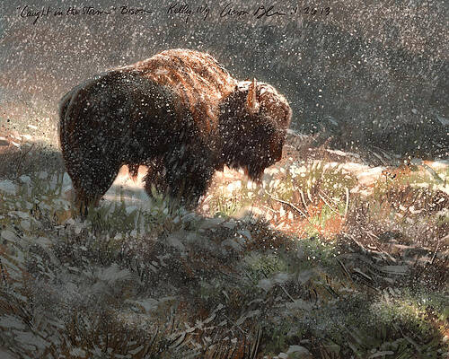 Bison in the Snow by Aaron Blaise