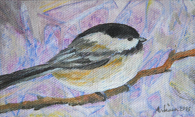 Black-capped Chickadee - Bird in the Wild by Arlissa Vaughn Black-capped Chickadee - Bird in the Wild by Arlissa Vaughn
