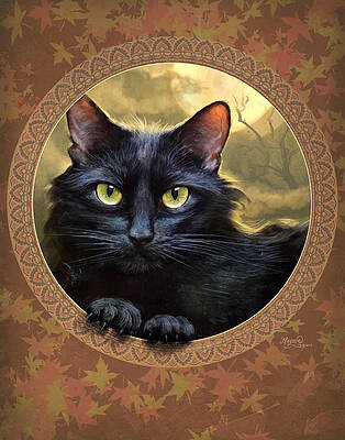 Black Cat Autumn by Jeff Haynie Black Cat Autumn by Jeff Haynie