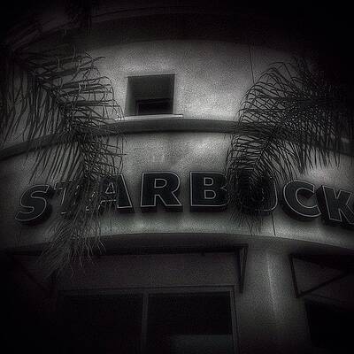 Wall Art - Photograph - Black Coffee --- Check Out More Of My by Mark David Gerson