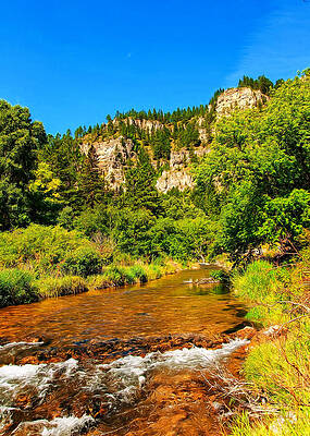 Black Hills Beauty by John M Bailey Black Hills Beauty by John M Bailey