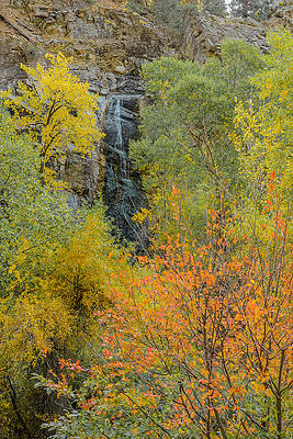 Wall Art - Photograph - Black Hills Bridal Veil by Greni Graph