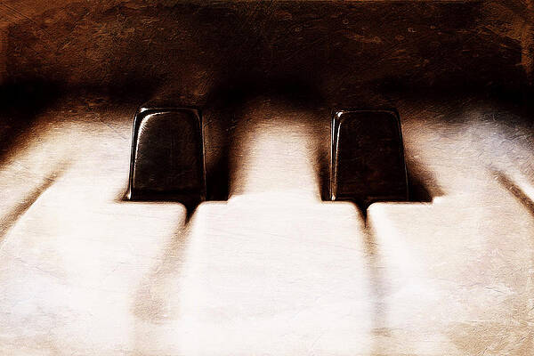 Wall Art - Photograph - Black Keys D Flat and E Flat  by Scott Norris