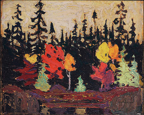 Black Spruce and Maple Print by Tom Thomson