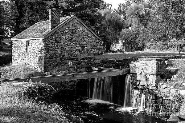 Canal Shop by Pamela Taylor Canal Shop by Pamela Taylor