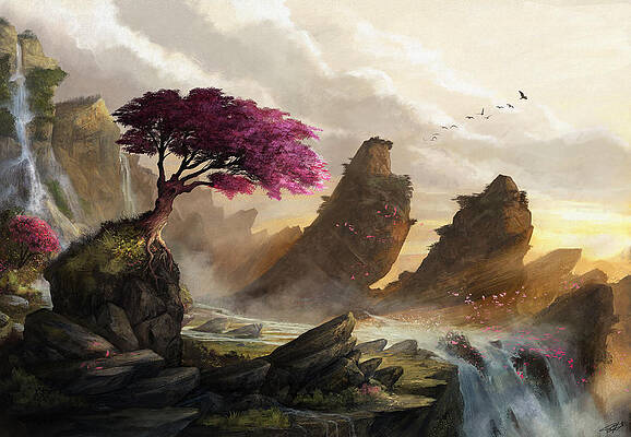 Blossom Sunset by Steve Goad Blossom Sunset by Steve Goad