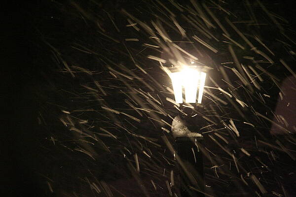 Blowing Snow against Lamp by Dr Carolyn Reinhart Blowing Snow against Lamp by Dr Carolyn Reinhart