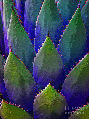 Blue Agave by Victoria Page Blue Agave by Victoria Page