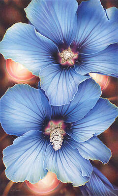 Wall Art - Drawing - Blue Hibiscus With Fairy Lights by Amy S Turner