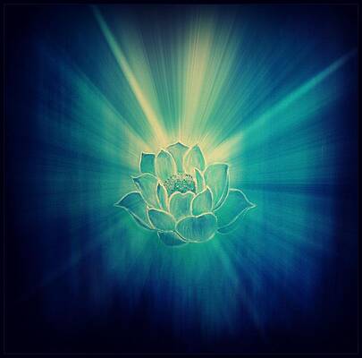 Blue Lotus Star Burst by Alexandra Florschutz Blue Lotus Star Burst by Alexandra Florschutz