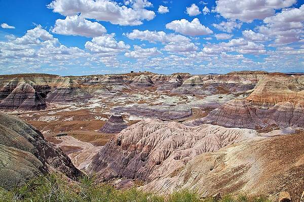 Blue Mesas of the Petrified Forest by Joseph Urbaszewski Blue Mesas of the Petrified Forest by Joseph Urbaszewski