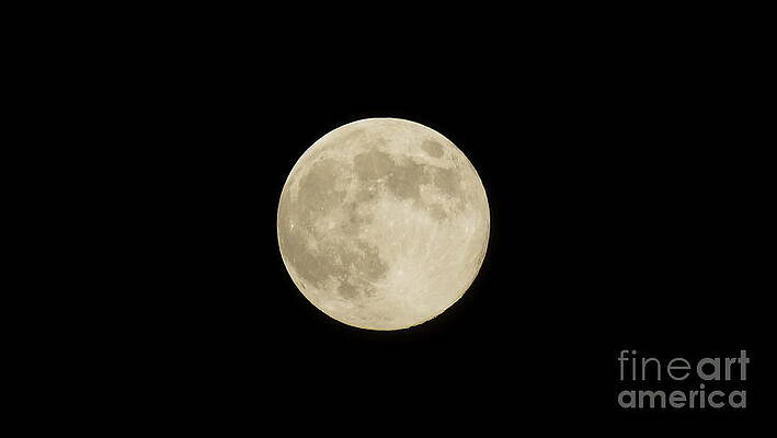 Blue Moon Setting by Jeff Waugh