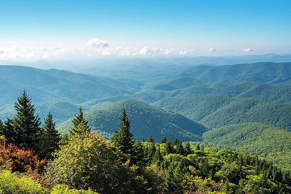 Wall Art - Photograph - Blue Ridge Mountains From Devils by Jason Langley