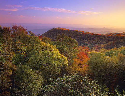 Wall Art - Photograph - Blue Ridge Mountains in Autumn by Tim Fitzharris