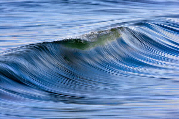 Blue Wave #2 C6J6362 by David Orias Blue Wave #2 C6J6362 by David Orias