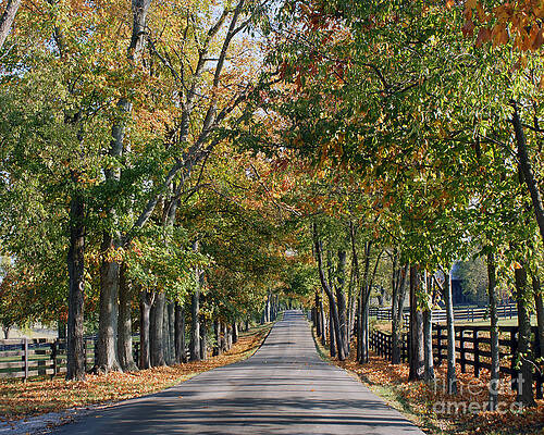 Bluegrass Fall by Roger Potts Bluegrass Fall by Roger Potts