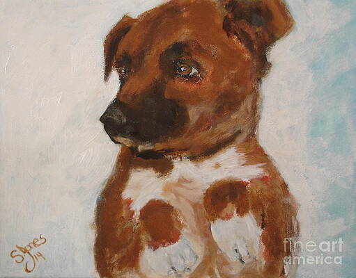 Bo Jack by Shelley Jones Bo Jack by Shelley Jones