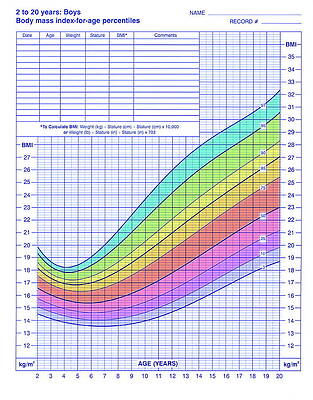 Wall Art - Photograph - Body Mass Index Chart by Science Photo Library