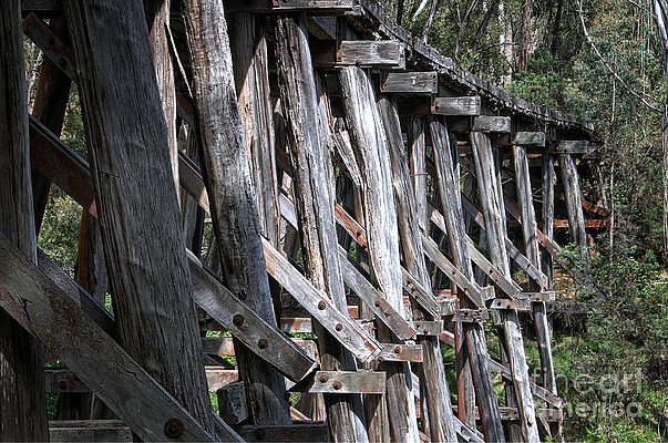 Boggy Creek Timber Trestle Bridge Details by Peter Kneen Boggy Creek Timber Trestle Bridge Details by Peter Kneen