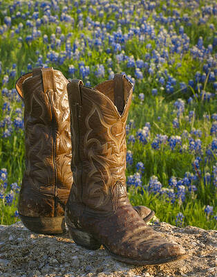 Boots and Bluebonnets by David and Carol Kelly Boots and Bluebonnets by David and Carol Kelly