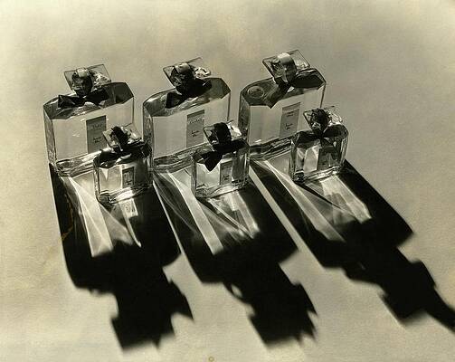 Wall Art - Photograph - Bottles Of Lucretia Allen Perfume by Lusha Nelson
