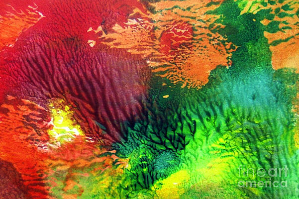 Bottom of Ocean by Nancy Rucker Bottom of Ocean by Nancy Rucker