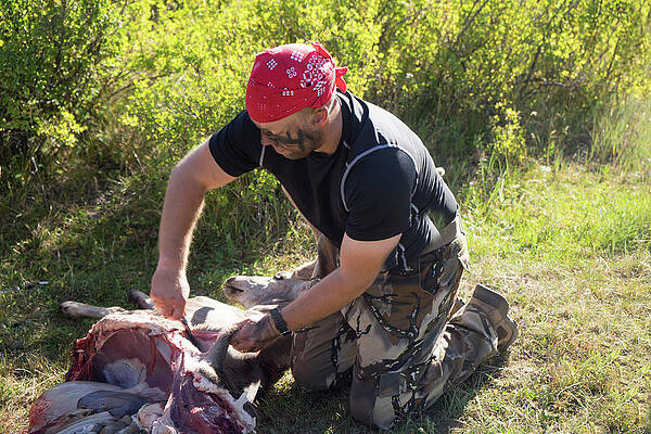 Wall Art - Photograph - Bow Hunter Skinning Deer by Terry Schmidbauer