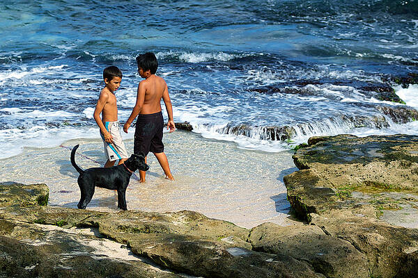 Boys and their dog at the beach by Trever Miller Boys and their dog at the beach by Trever Miller